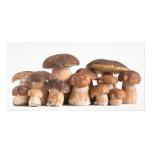 Boleto Edulis Tarjetas Personales