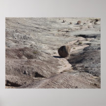Bolos del desierto posters