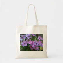 Bolso Bolsa
