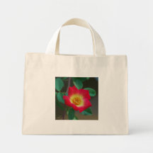 Bolso color de rosa griego bolsas de mano