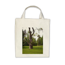 Bolso con estrías del árbol bolsa lienzo