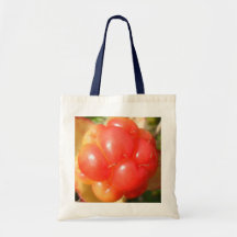 bolso de color salmón bolsa lienzo