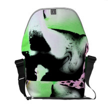 Bolso de Gani Bolsa De Mensajeria