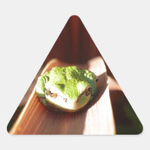 Bolso de la rana calcomanías de triangulos