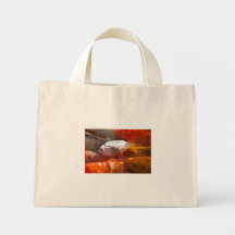 bolso de los pescados bolsa