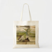 Bolso del burro del Gargoyle Bolsas