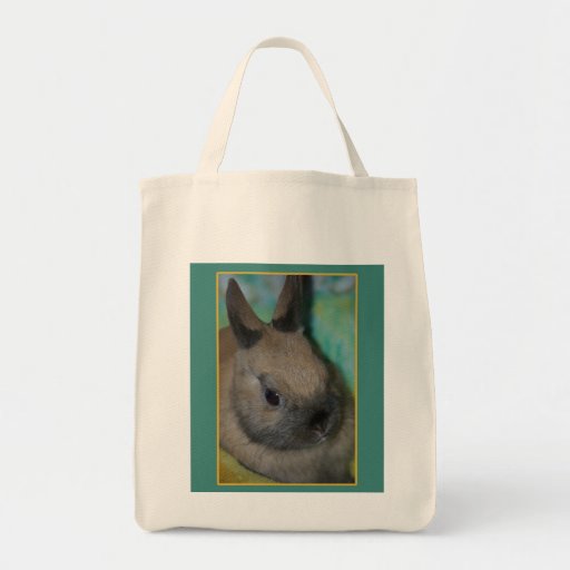 bolso del conejo bolsas