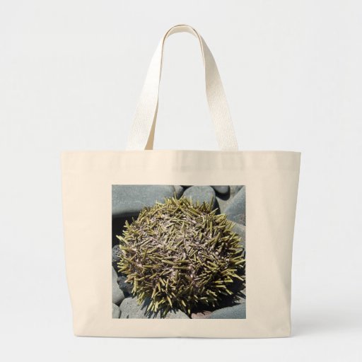 Bolso del erizo de mar 1 bolsas lienzo