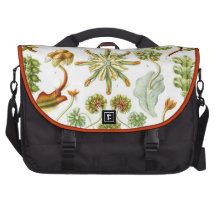 Bolso del ordenador de las hepáticas bolsas de portátil