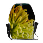 Bolso floral de la explosión bolsas messenger