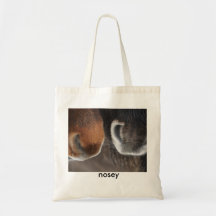 Bolso Nosey Bolsas
