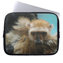 Bolso observado azul de la electrónica del Lemur Fundas Portátiles