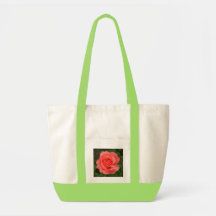 Bolso subió melocotón bolsa