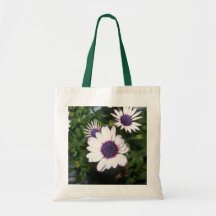 Bolsos Bolsas Lienzo