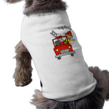 Bombero a las camisetas y a los regalos del rescat ropa para mascota