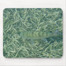 Bonefish del tizón alfombrilla de ratón