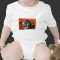bonita camisetas