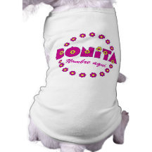 Bonita Ropa De Mascota