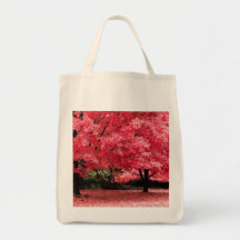 Bonito en rosa bolsa de mano