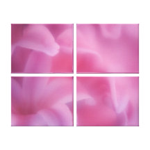 Bonito en rosa impresión de lienzo