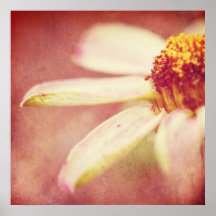 Bonito en rosa poster
