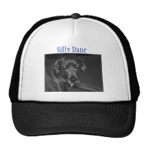 Boog, danés tonto gorras de camionero