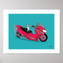 Boogie en Suzuki Impresiones