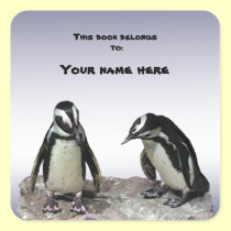Bookplate de los pingüinos pegatinas