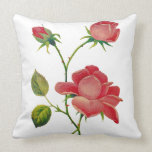 Bordado jacobeo tradicional hermoso de la lana par almohadas