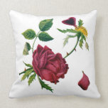 Bordado jacobeo tradicional hermoso de la lana par almohadas