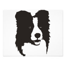 Border collie comunicados personalizados