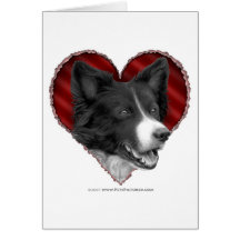 Border collie con el corazón felicitación