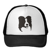 Border collie gorra
