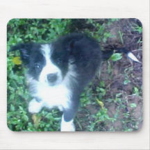 Border collie Mousepad Alfombrilla De Ratones