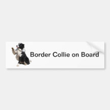 border collie pegatina de parachoque