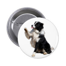 border collie pins