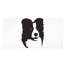Border collie tarjeta fotográfica
