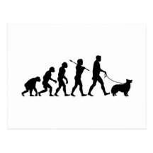 Border collie tarjetas postales