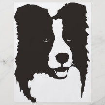 Border collie tarjeton