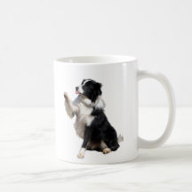 border collie taza