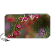 Boronia PC Altavoces