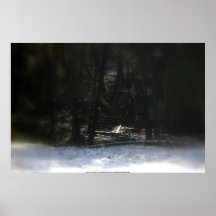 Bosque 12 Nevado Oregon Impresiones