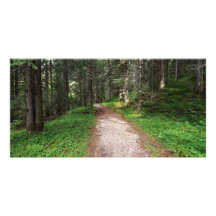 bosque alpino plantilla para tarjeta de foto