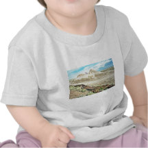 Bosque aterrorizado - parque nacional del desierto camisetas