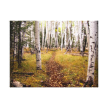 Bosque de Aspen en la caída Impresión De Lienzo