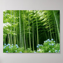 Bosque de bambú impresiones