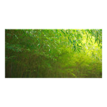Bosque de bambú tarjetas personales con fotos