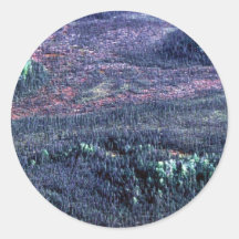 Bosque de la picea del refugio de Koyukuk Etiquetas Redondas