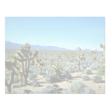 Bosque de la yuca comunicado personalizado