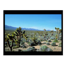 Bosque de la yuca postal